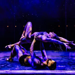 Media for Magic Mike Live on Stagedoor