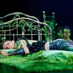 Media for A Midsummer Night's Dream on Stagedoor